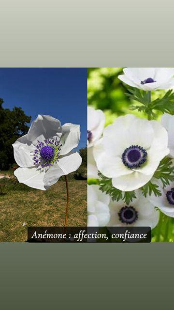 Réalisation florale 1