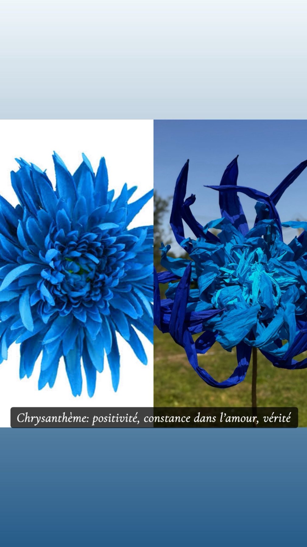 Réalisation florale 2