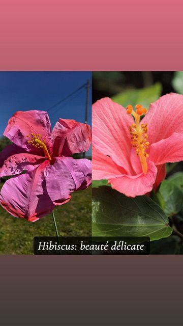 Réalisation florale 5