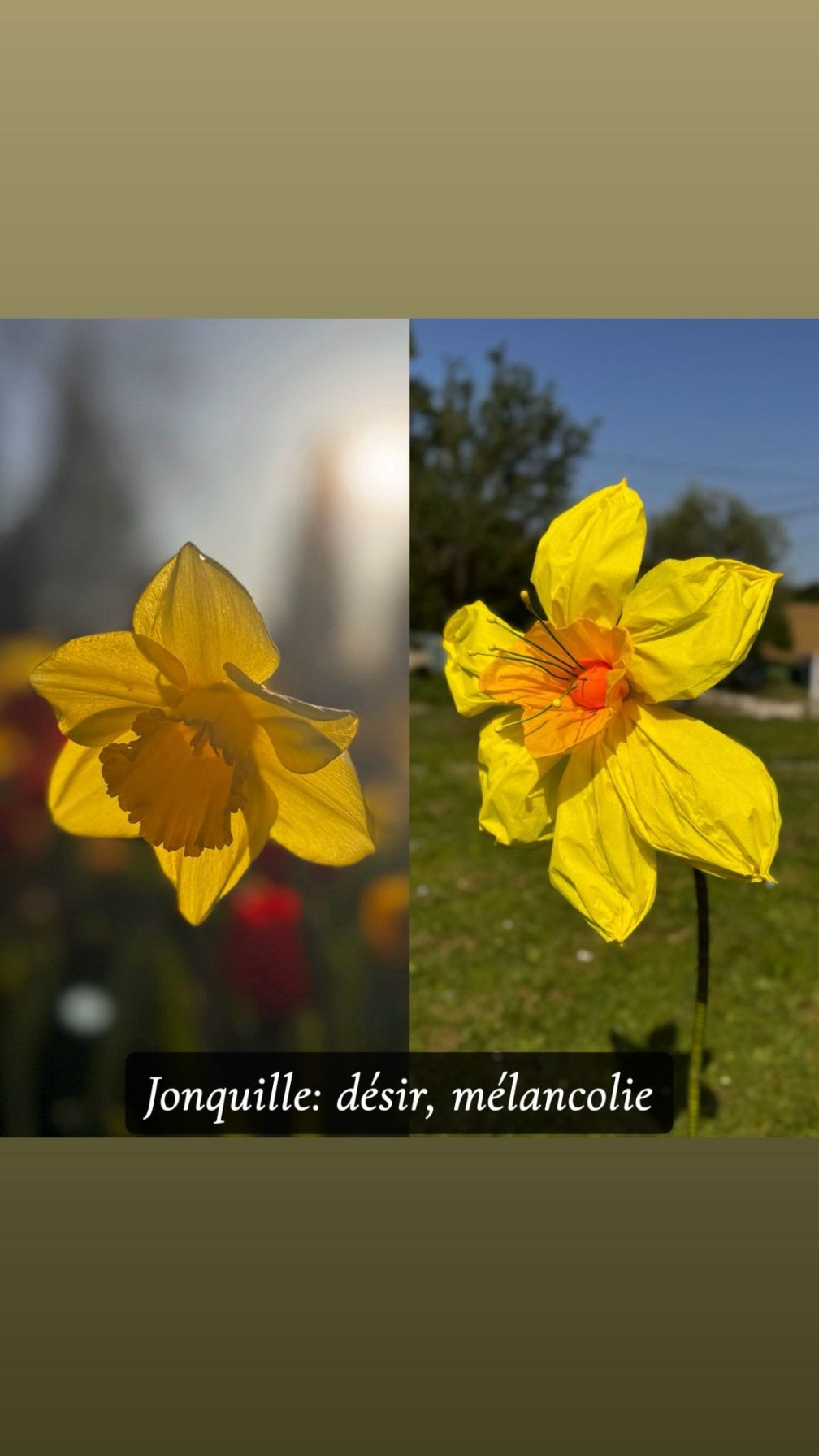 Réalisation florale 8