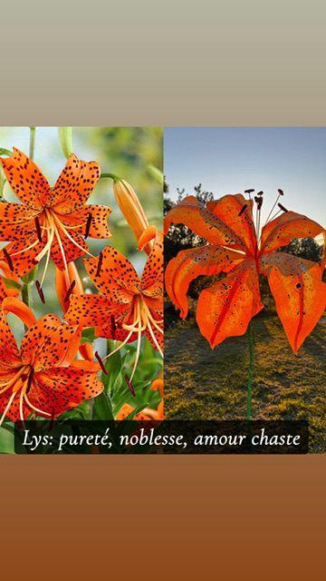 Réalisation florale 9