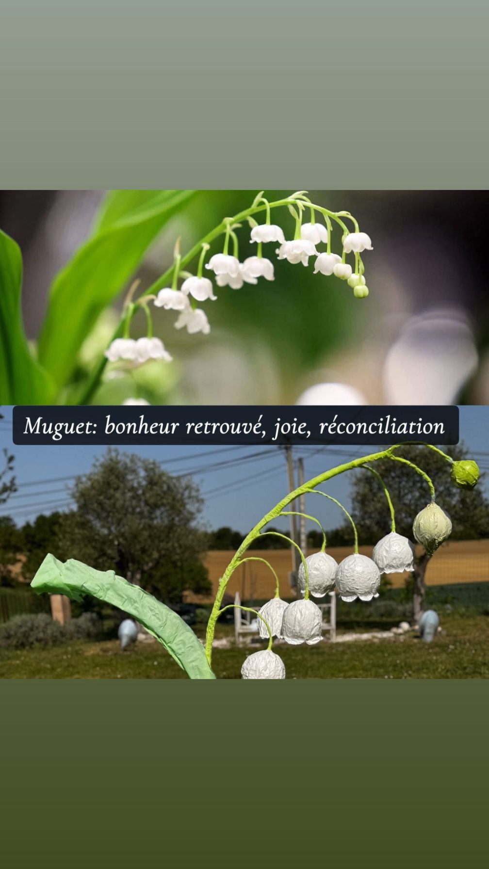 Réalisation florale 10