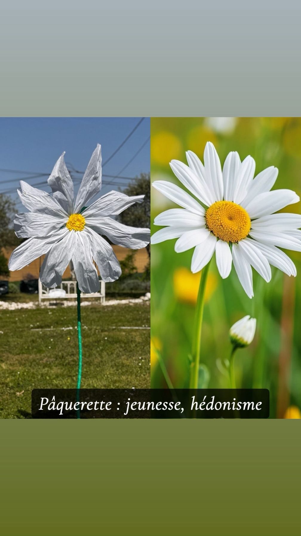 Réalisation florale 11