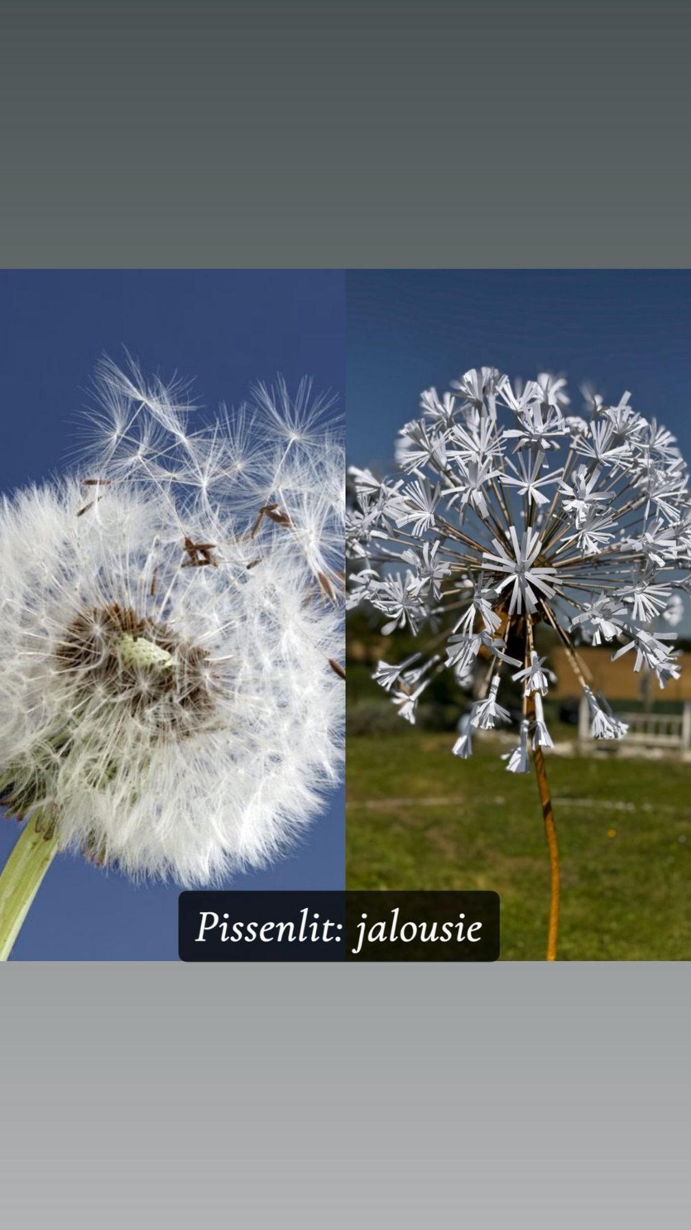 Réalisation florale 13