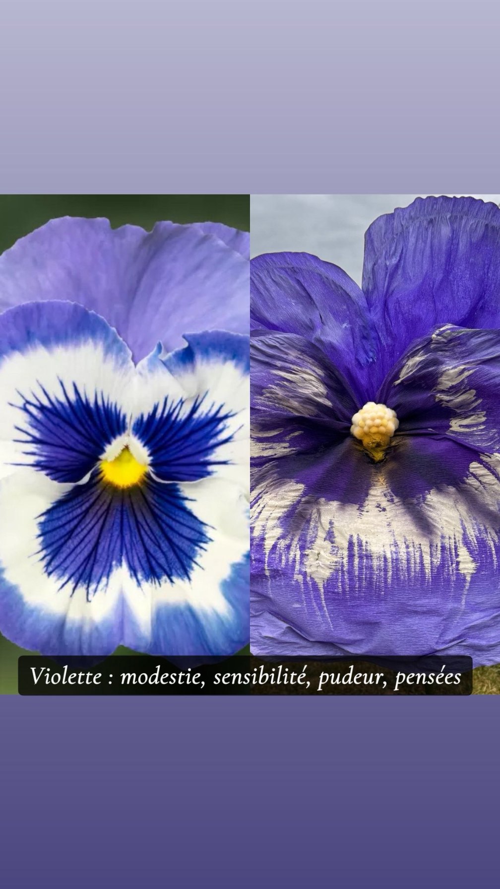 Réalisation florale 19